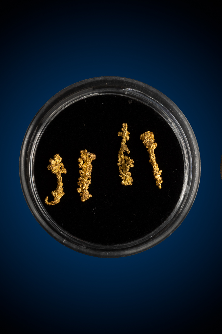 Four Beautiful Intricate New Zealand Wire Gold Specimens (image for) Four Beautiful Intricate New Zealand Wire Gold Specimens